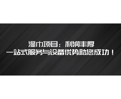濕巾項目：利潤豐厚，一站式服務與設備優勢助您成功！