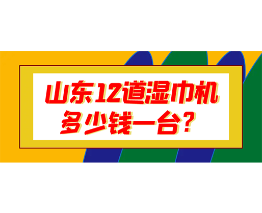 山東12道濕巾機(jī)多少錢一臺？